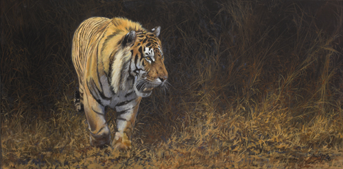 0303_Breaking_Cover__18_x_36_Oil_on_Canvas.jpg