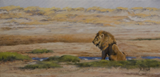0308_Lion_at_Etosh_Pan_II_t.jpg